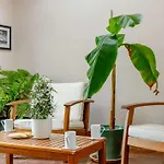 2 Bed In Appleby-in-westmorland Oc-87537 Prázdninový dům Long Marton